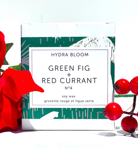 Green Fig and Red Currant Cotton Wick Candle |  Hydra Bloom